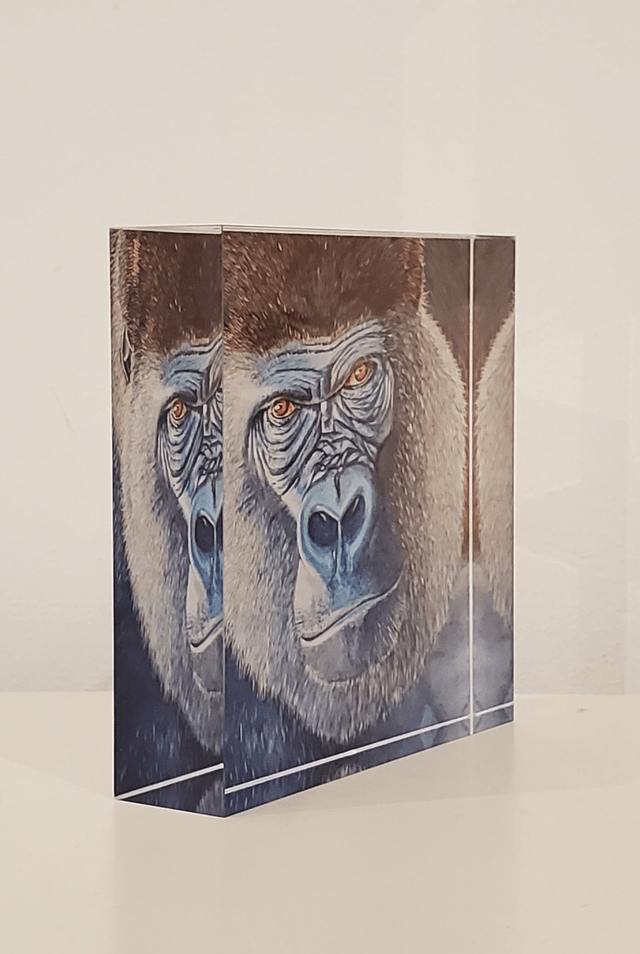 Impression sur verre acrylique - Le gorille