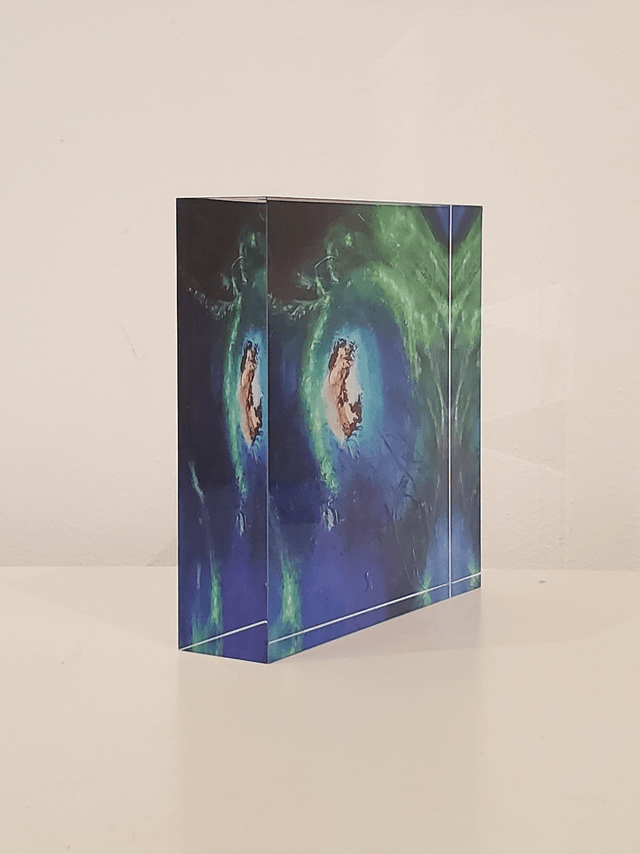 Impression sur verre acrylique - Embryonnaire