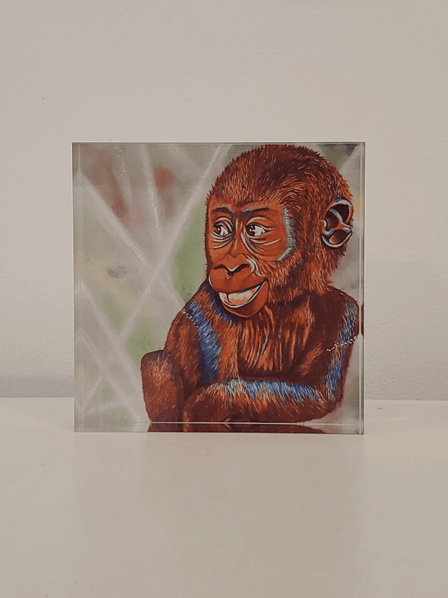 Impression sur verre acrylique - Bébé gorille