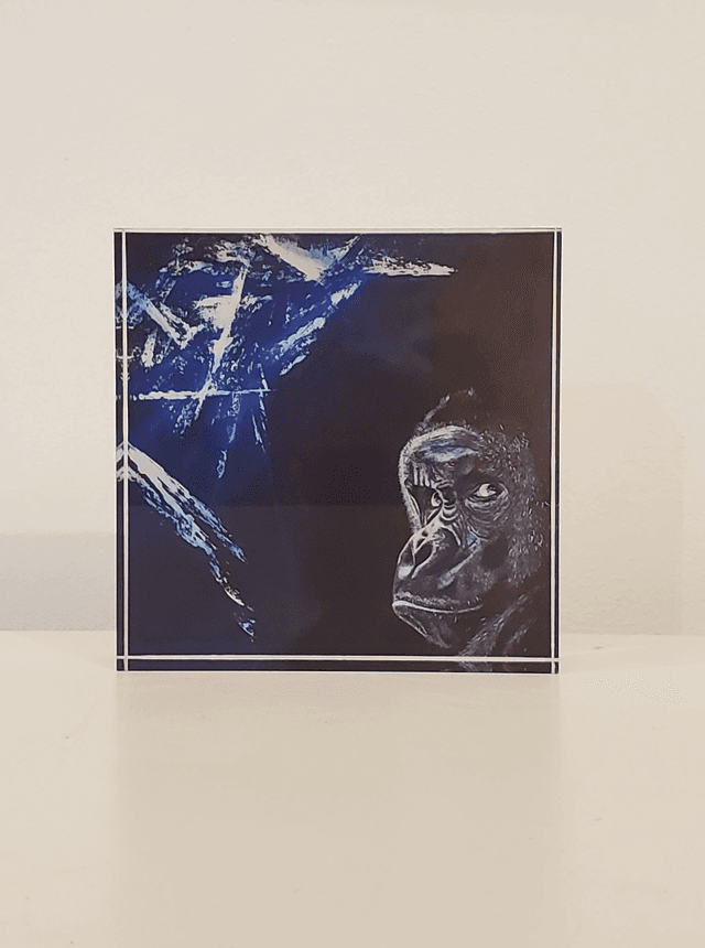 Impression sur verre acrylique - Lueur
